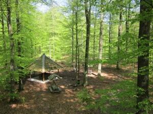 Bild vergr&ouml;&szlig;ern: Spielplatz Erholungswald
